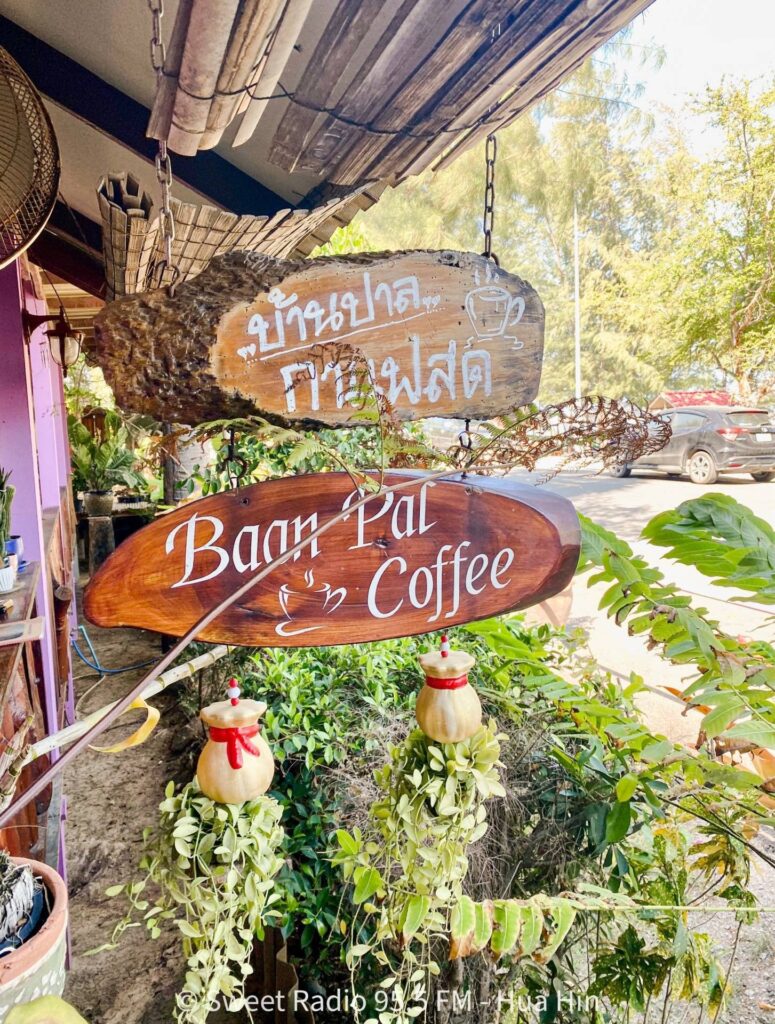 ที่นั่งเก้าอี้ผ้าใบชายหาดและชิงช้าไม้ใต้ร่มเงาต้นไม้ใหญ่ริมทะเลที่ร้าน บ้านปาล กาแฟสด